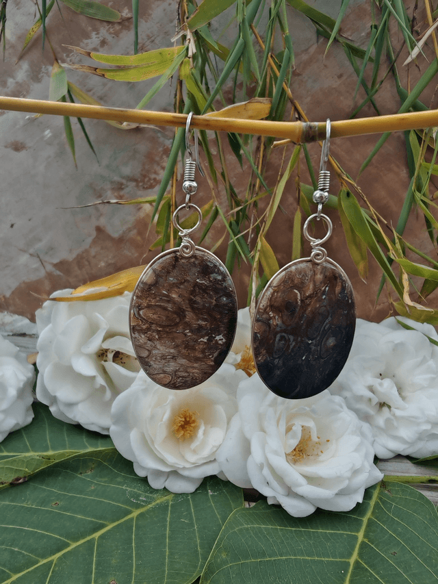 Boucles d'oreilles en bois de palétuvier fossile