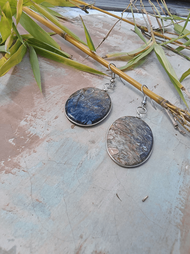 Boucles d'oreilles en bois de palétuvier fossile