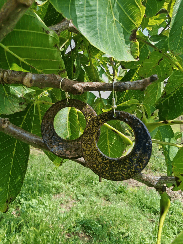 Cercle poétique, Boucles d'oreilles émail 